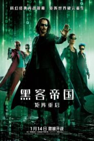 黑客帝国4:矩阵重启