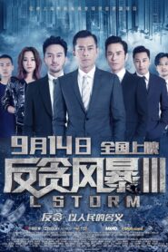 反贪风暴3